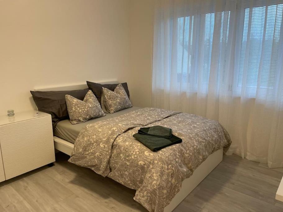 Studio In Neuem Efh Elsau المظهر الخارجي الصورة